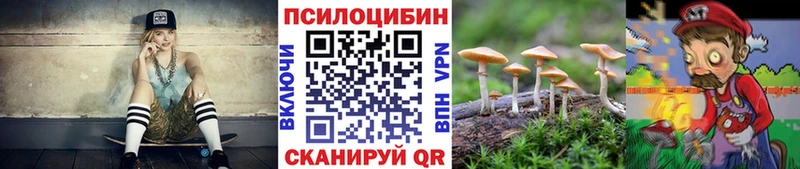 mega зеркало Ленинградская Псилоцибиновые грибы Psilocybine cubensis